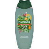 Palmolive Forest Edition Aloe You Duschgel 500 ml