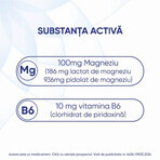 Magne B6 10 ml 10 vials