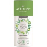 Attitude Super leaves Déodorant solide naturel, feuilles d'olivier 85 g