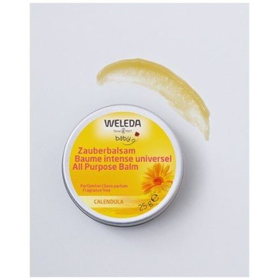 Weleda Baby Balsamo tutto in uno alla Calendula 25 g