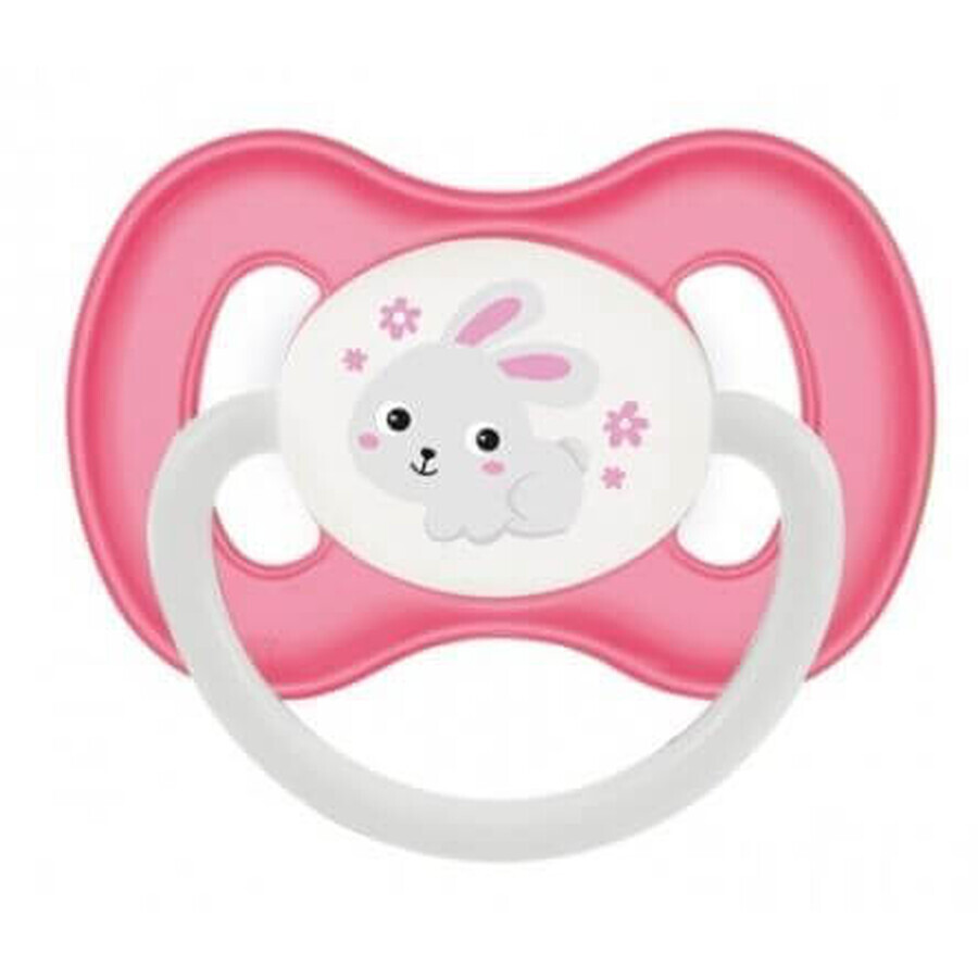 Canpol Babys Gummischnuller Kirsche 0-6m BUNNY&COMPANY Rosa