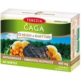 Terezia Chaga + reishi e olivello spinoso 60 capsule