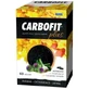 Carbofit Plus 60 Kapseln