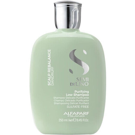 Alfaparf Milano Semi di Lino Cleansing shampoo for hair with dry and oily dandruff 250 ml