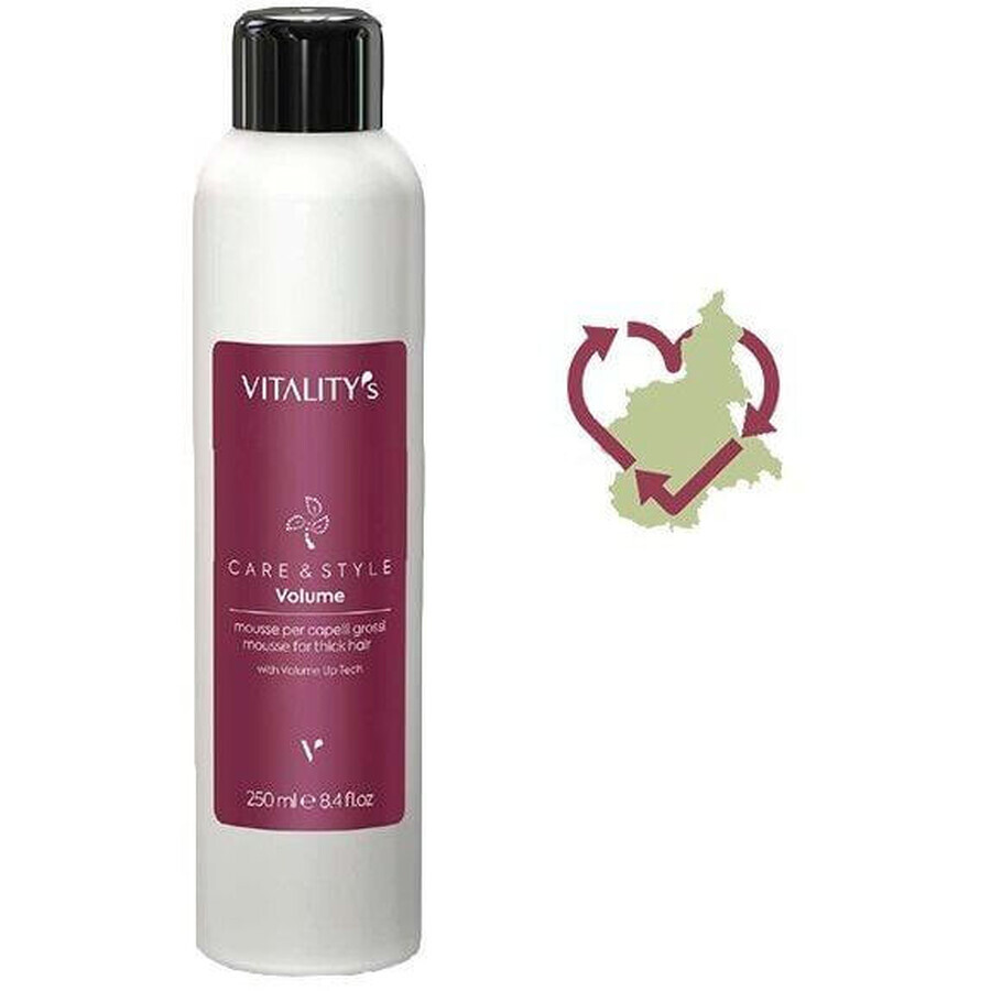 Vitality's Care & Style Volumen Schaumfestiger für dickes Haar 250 ml