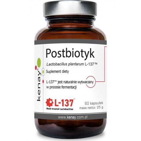 Postbiotic Lactobacillus plantarum L-137, 60 capsules Kenay