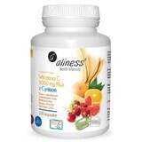 Vitamin C 1000 mg mit Zink PLUS 100 Kapseln VEGE Aliness