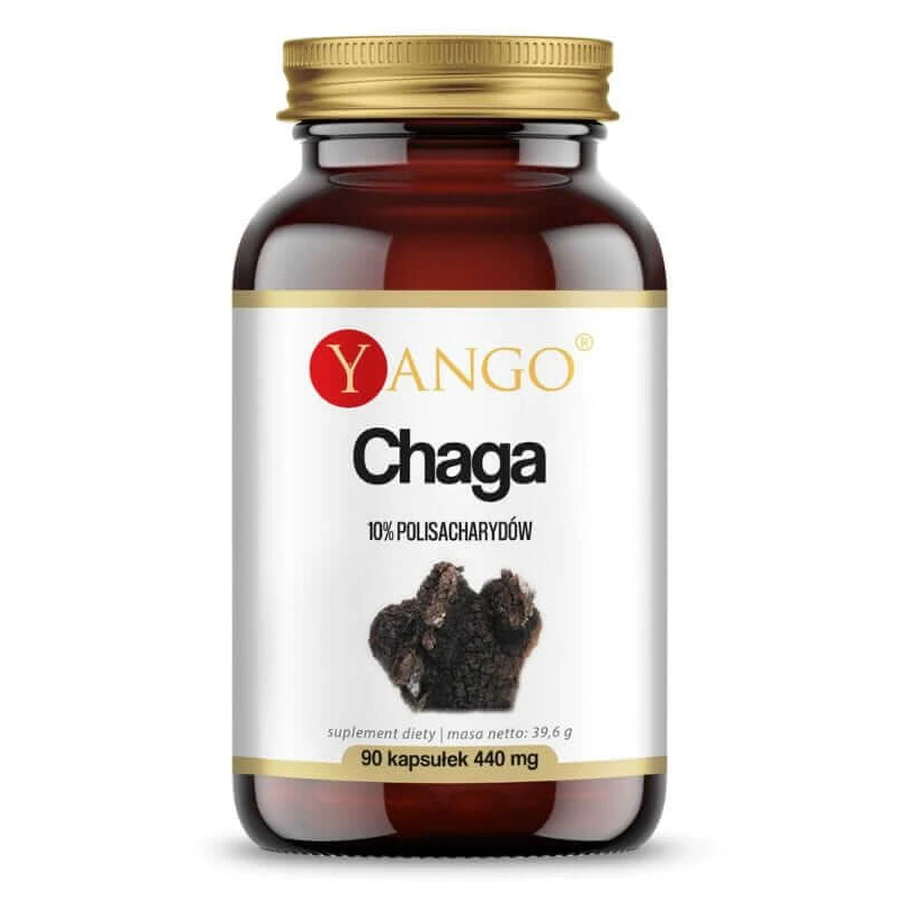 Extracto de Chaga 10% polisacárido (90 cápsulas) YANGO