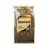 Damiana plants, Turnera diffusa, Leaf clippings, 50g, Astron