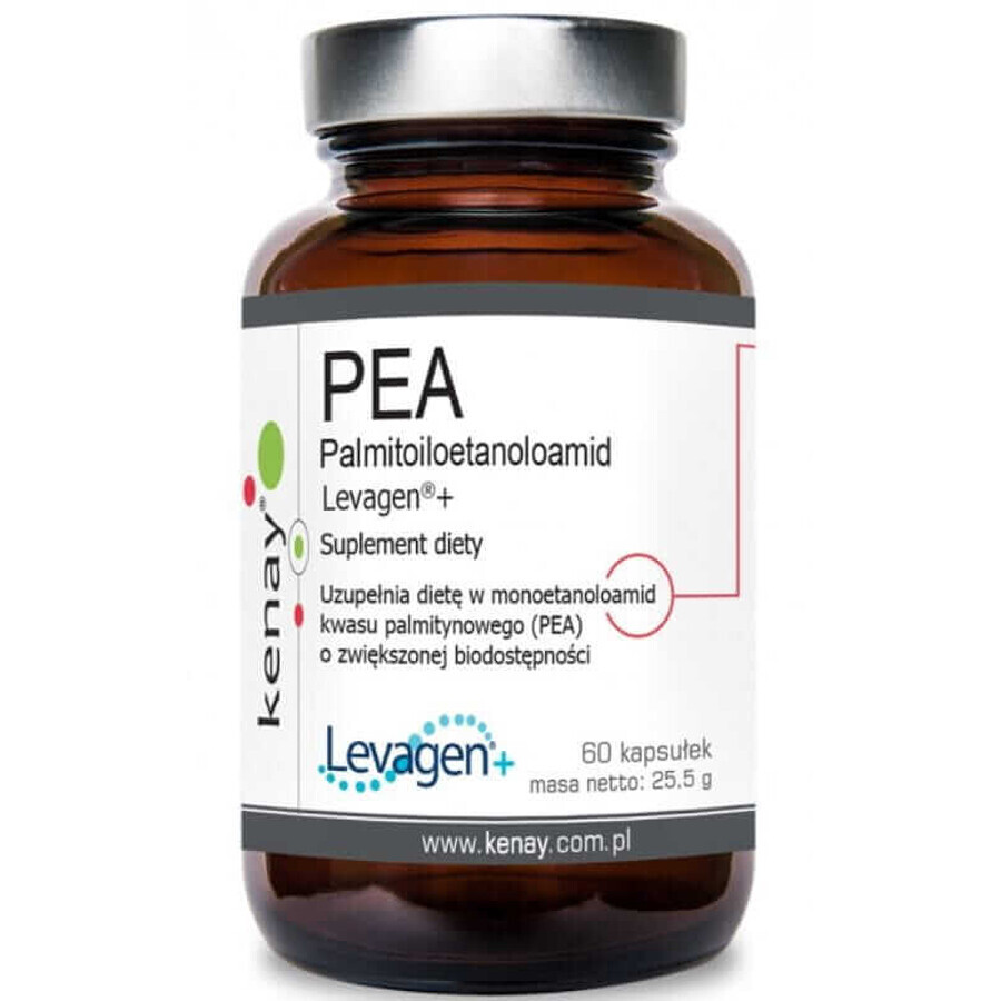 PEA Palmitoil etanolamida Levagen 60 cápsulas Kenay