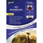 OPC + Panaseus resveratrol (430mg) 50 capsules