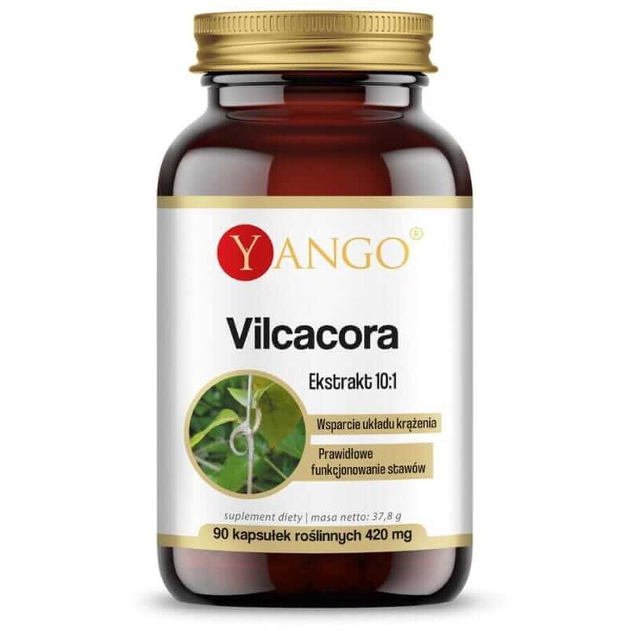 Vilcacora - extract 10:1 - 90 capsules YANGO