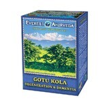 Ayurvedischer Tee GOTU KOLA Degeneration der Gehirnfunktion 100g Everest Ayurveda