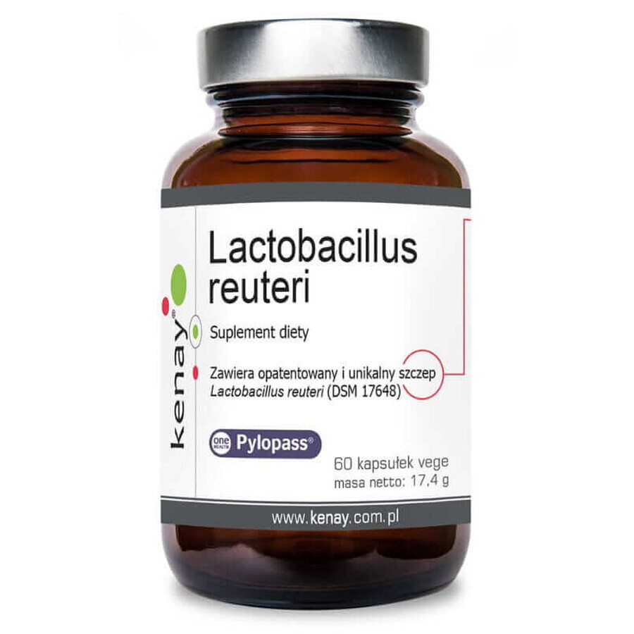 Lactobacillus reuter Pylopass 60 Kapseln Kenay