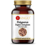 Polyporus Polygonum 90 capsules Yango