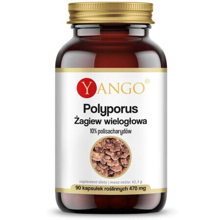 Polyporus Polygonum 90 capsules Yango