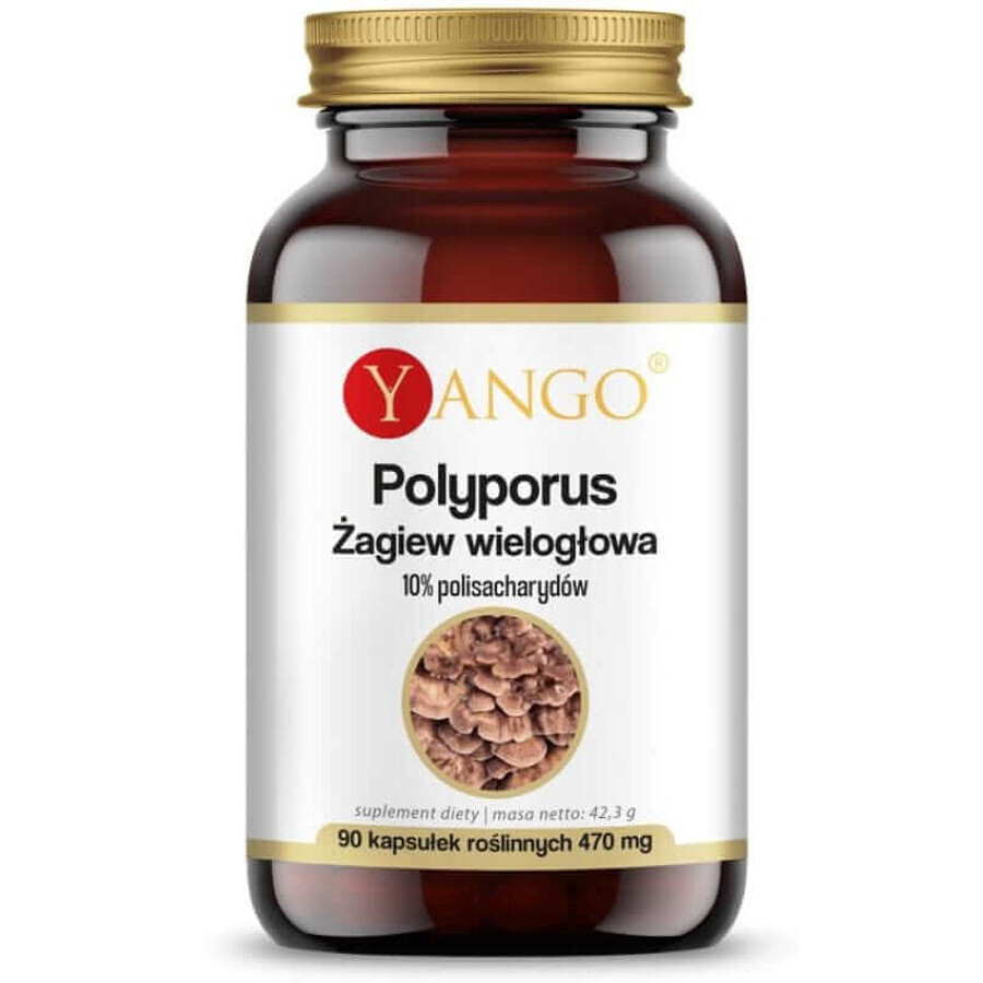 Polyporus Polygonum 90 capsules Yango