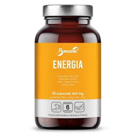 Panaseus Energie 50 capsules