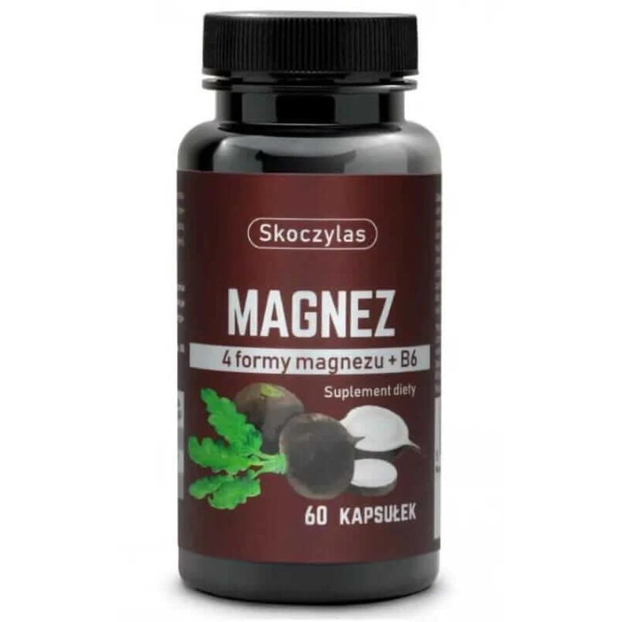 Skoczylas Magnésium 4 formes - navet noir 60 gélules