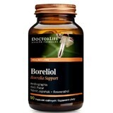 Doctor Life Boreliol 90 gélules