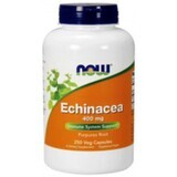 NOW Foods Echinacea (Echinacea) 400mg - 250 Kapseln