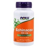 NOW Foods Echinacea (Sonnenhut) 400mg - 100 Kapseln