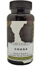 Chaga 50g Archangelis Roxanthus und Freunde