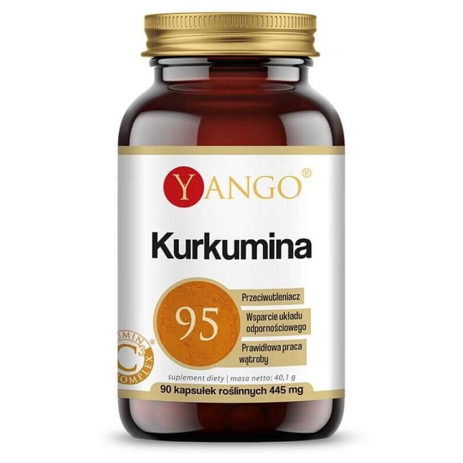 Curcumin 95 - 90 Kapseln YANGO