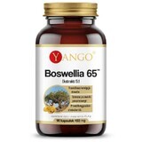 Boswellia 65 (65% Boswelliasäuren)90 Kapseln, Yango