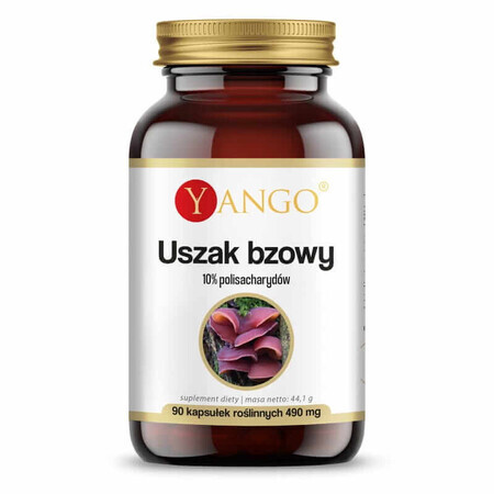 Elderberry 10% polizaharide 90 capsule Yango