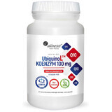 UbiquinoL KANEKA Natürliches Coenzym Q10 100mg 60 Kapseln vegeta Aliness