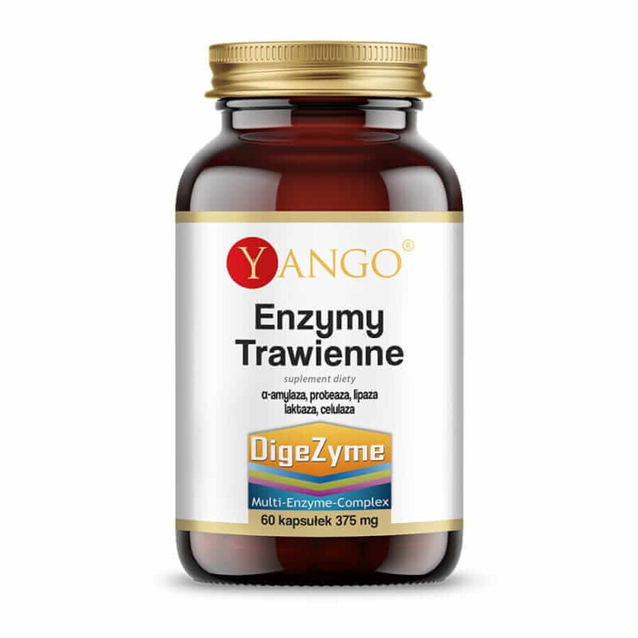 Enzyme digestive Digezyme 60 gélules, Yango