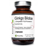 Ginkgo Biloba mit Ginkgoselect Phytosom 60 Kapseln, Kenay