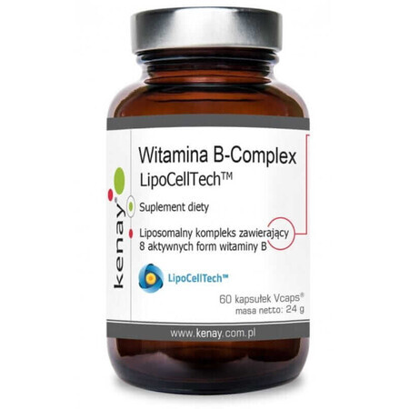 Lipozomaler B-Vitamin-Komplex LipoCellTech 60 Kapseln Kenay