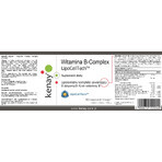 Lipozomaler B-Vitamin-Komplex LipoCellTech 60 Kapseln Kenay