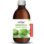 Graviola Fruchtfleischsaft zuckerfrei 500ml - Jungle Fruits