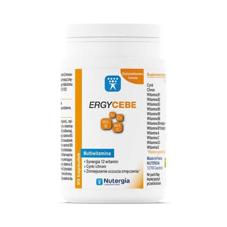 Ergycebe Multivitamin Nutergia (Synergie von 12 Vitaminen, Zink und Chrom) 90 Kapseln