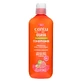 Revitalisierende Kopfhautspülung mit Guaven-Extrakt, 400 ml, Cantu