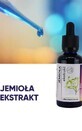 Mistel Mikropartikel-Extrakt 50ml Organis