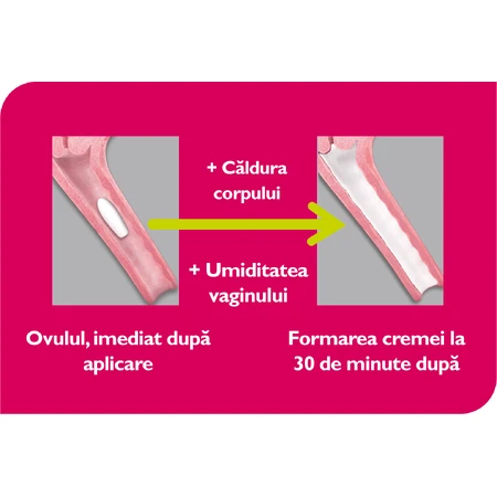 Vagisan lactic acid ovules, 7 pieces, Vagisan