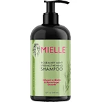 MIELLE Șampon cu rozmarin și mentă, 335 ml