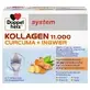 Kollagen 11000 Plus Kurkuma + Ingwer, 30 Flaschen, Doppelherz