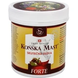 FORTE HEATING Horse Ointment 1×250 ml, horse ointment