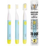 Vitammy Buzz Cepillo de dientes sónico con 28.000 micromovimientos, 2 programas de limpieza, Menta/Citrón 1×1 ud, cepillo eléctrico