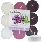 Bolsius Tea 18pcs Lavanda tricolor, velas perfumadas 1×18 pcs, velas perfumadas