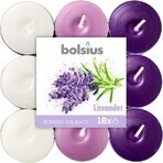 Bolsius Tea 18pcs Lavanda tricolor, velas perfumadas 1×18 pcs, velas perfumadas