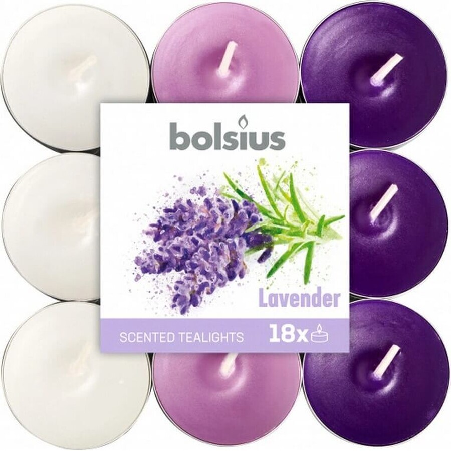 Bolsius Tea 18pcs Lavanda tricolor, velas perfumadas 1×18 pcs, velas perfumadas