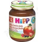 HiPP Supplément de fruits Pommes avec baies 1×125 g, supplément de fruits pour enfants