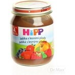 HiPP Supplément de fruits Pommes avec baies 1×125 g, supplément de fruits pour enfants