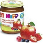 HiPP Supplément de fruits Pommes avec baies 1×125 g, supplément de fruits pour enfants